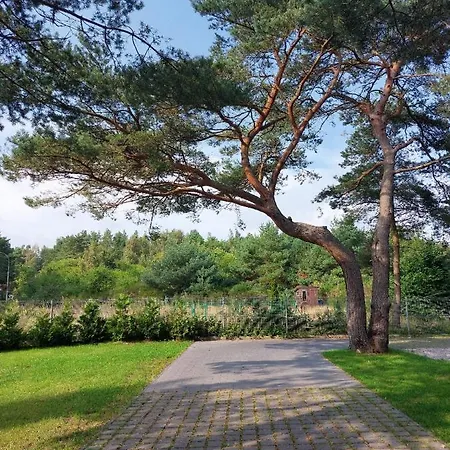 Apartament W Sosnach Rozewie